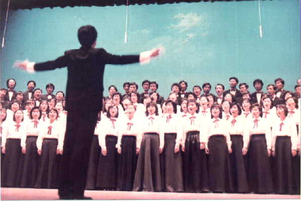 900.jpg (27639 bytes)